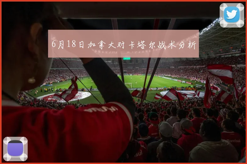 6月18日加拿大对卡塔尔战术分析