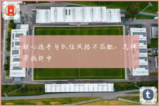 核心选手与队伍风格不匹配，怎样寻找折中