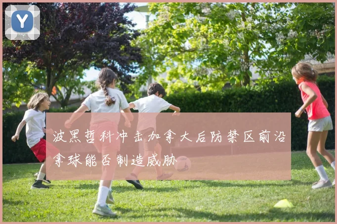 波黑哲科冲击加拿大后防禁区前沿拿球能否制造威胁