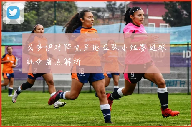 戈多伊对阵克罗地亚队小组赛进球机会看点解析