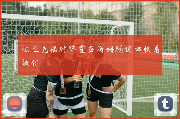 法兰克福对阵霍芬海姆弱侧回收看执行